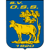 OSS 20 logo