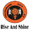 Polokwane City Reserves logo