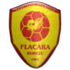 ACS Flacara Horezu logo