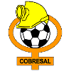 Cobresal (W) logo