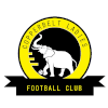 Copper Belts FC (W) logo