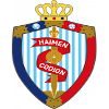 Haimen Codion logo